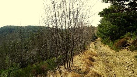 Descente sur le carrefour du Muret nord.