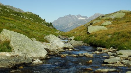 Ruisseau de Savine (vue arrière).