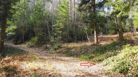 Départ très discret de la sente sur la droite du chemin.