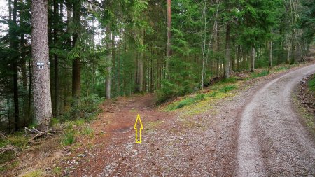 On quitte le Karl-Ross Weg par la gauche, pour descendre vers Kernhof.