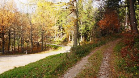 Sur la fin du Hardtkopfweg, on vire à droite juste avant le virage en épingle de la route L79.