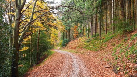 Sur le Lindelweg.