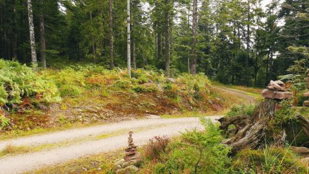 Au croisement de ce chemin, le sentier reprend en face (sans balisage).