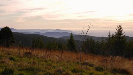 Au sommet du Hochkopf.