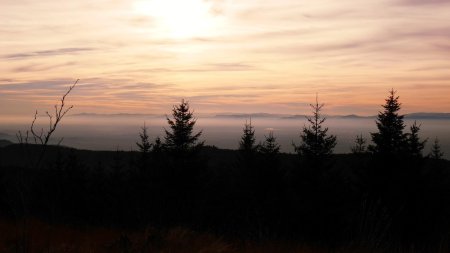 Au fond, les Vosges.