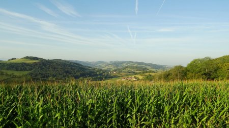 Vallonnements au sud-ouest.