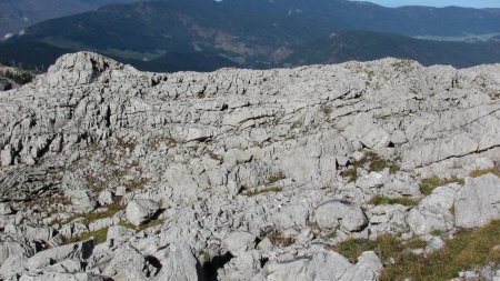 Lapiaz caractéristique du secteur.