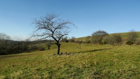 Retour à la lumière des plateaux.