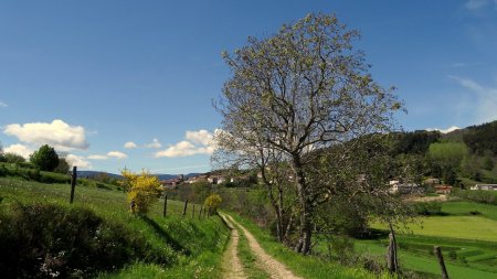 Saint-Georges-en-Couzan.