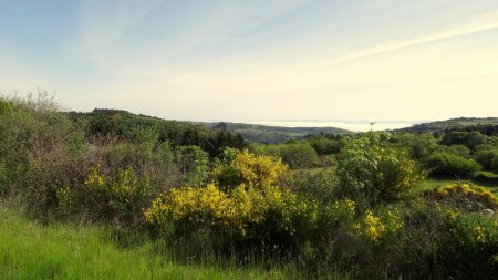 Vue sur la forteresse de Couzan.