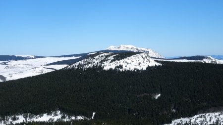 Suc de Taupernas et mont Mézenc.