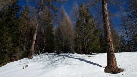 Départ vers la Tête du Betson.