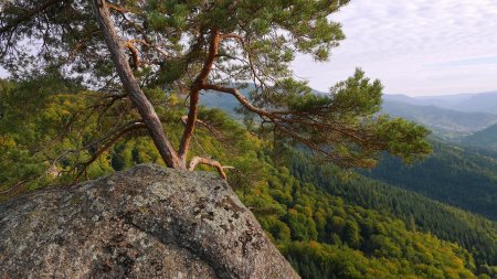 Belvédère rocheux de Rockertfelsen.