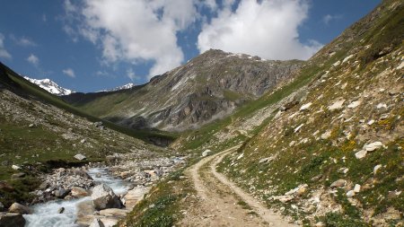 La piste qui longe le ruisseau du Charvet, face au Mont Roup.