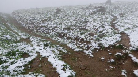 C’est là qu’on quitte le large chemin pour le petit sentier final.