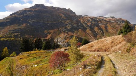 Du panneau «La Louïe aval», continuation sur les chemins pour rejoindre les chalets de la Louïe.