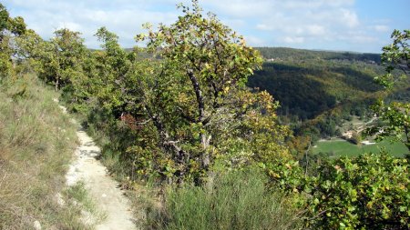 Sur le GR9 (dans le rétro).