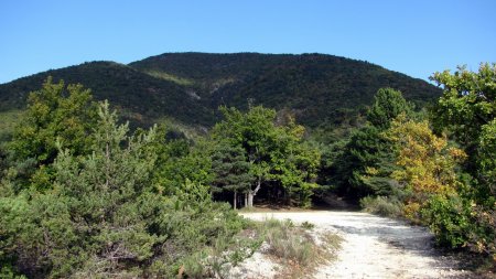 Montagne des Ventes vue du GR9.