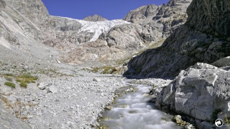 Front et torrent du glacier Blanc