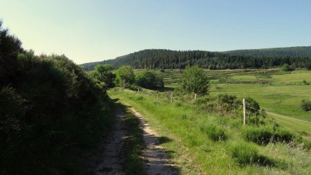 Arrivée au col du Bez.