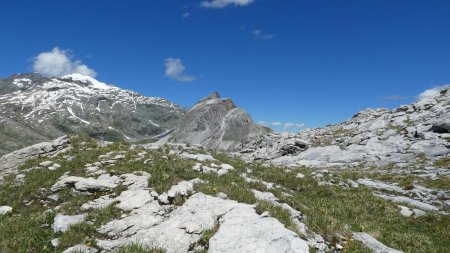 Vue du sommet