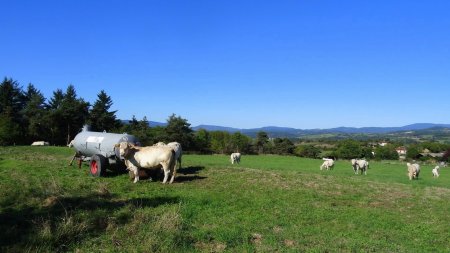 Vers les monts du Forez.