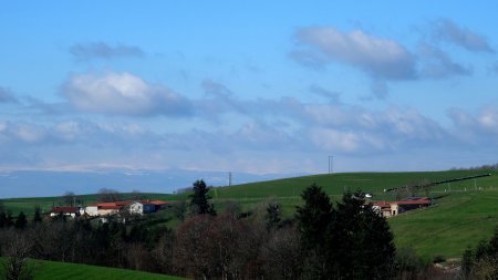 ...que l’on voit mieux au zoom.