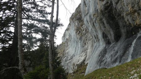 Sous la falaise