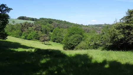 Cette région...