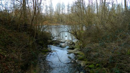 Confluence du Volon et de la Loire