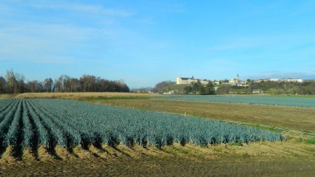 Bouthéon, capitale du poireau ?