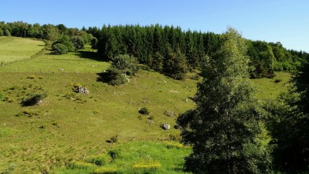 Vallon de la Trézaillette.