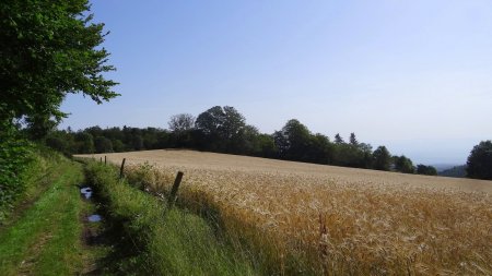 Hameau du Pin.