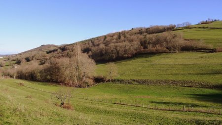 Vallon de la Goutte Reynard.