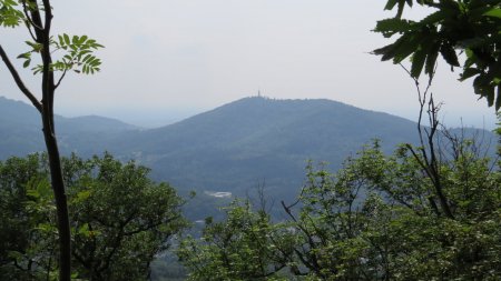 Depuis ce belvédère, première vue du jour vers le Fremersberg.