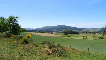 Vers Beauzac et la Dent.