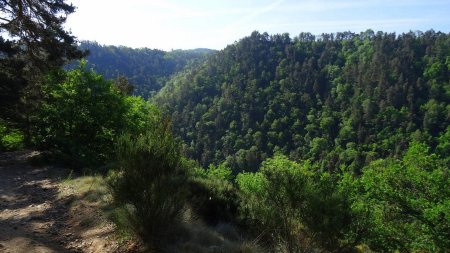 Gorges de la Loire.