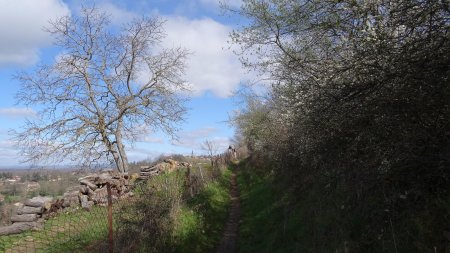 Sur le chemin de Saint-Cyr.