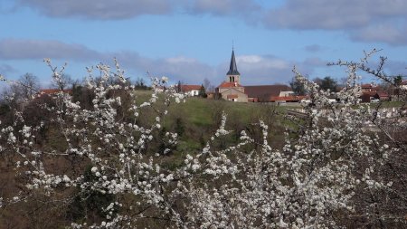 Saint-Cyr-les-Vignes.