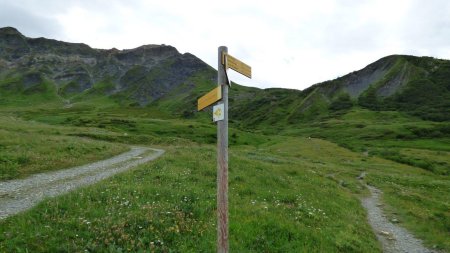 Ici, nous prenons le sentier à droite à l’aller, conformément au topo. Mais au retour nous reviendrons par la piste à gauche.