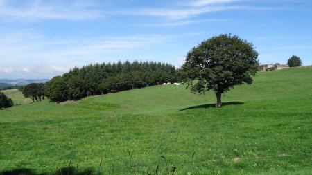 Vers le col des Brosses et la ferme du Crozier.