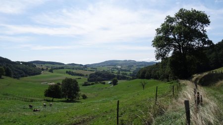 Vallon du Potensinet.