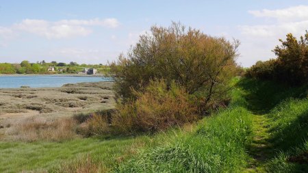 Sentier estuarien.