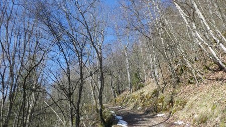 Chemin du Sauget