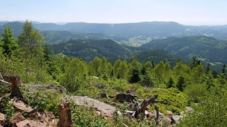 Point de vue sur le Westweg.