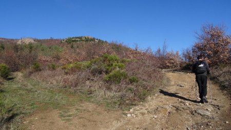 Large piste du versant sud.