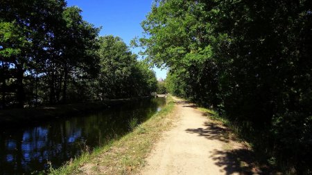 Canal du Forez.