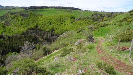 Sentier de la cascade.