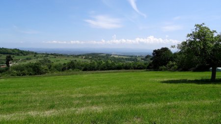 Vers les monts du Forez.