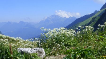 La Tournette vue du col de Cherel